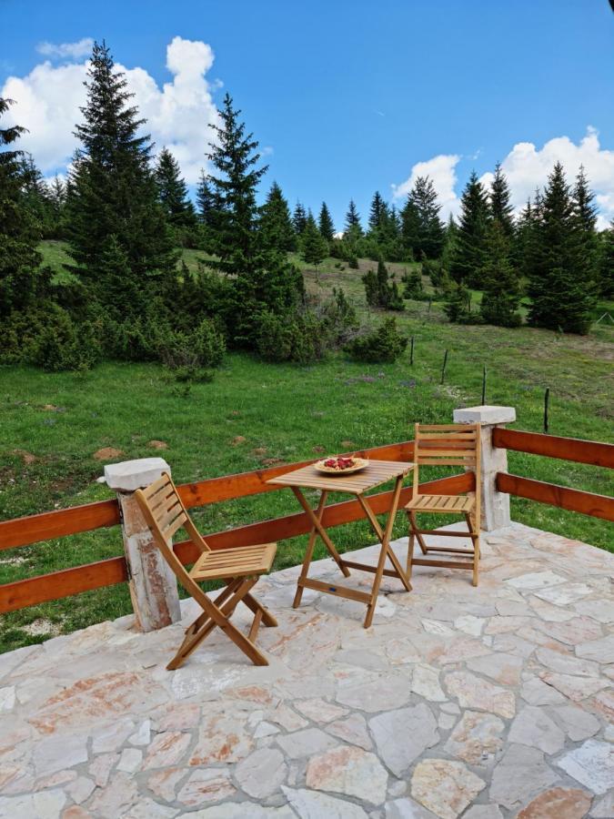Mountain Žabljak