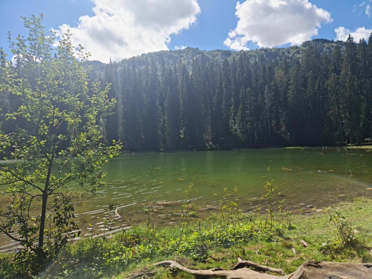 度假居 Mountain Žabljak